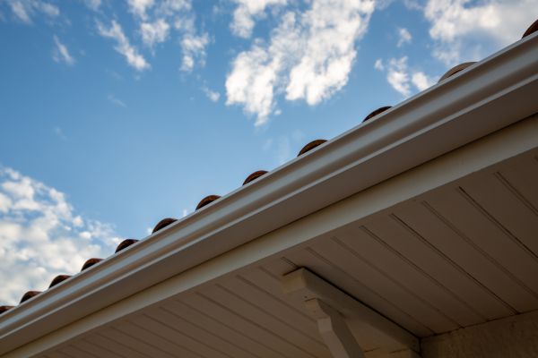 Cost of K Style Gutter Installation in Rockford
