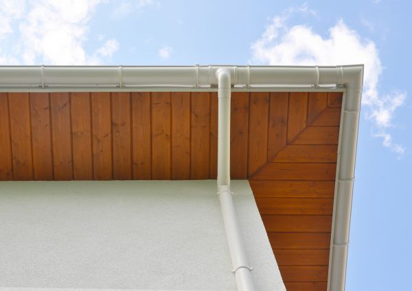 Cost of Downspout Diverter Service in Rockford