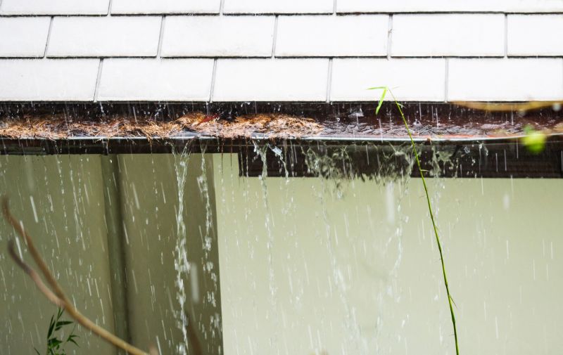 Clogged Gutter Causes