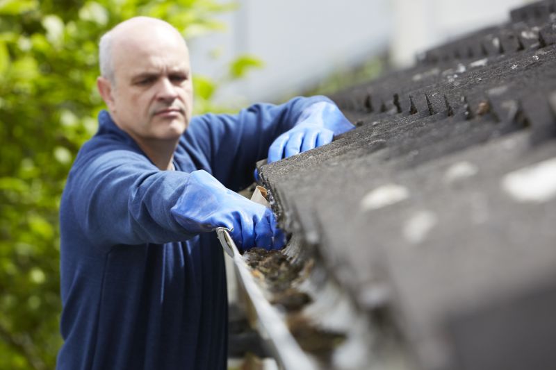 Benefits of Professional Gutter Service
